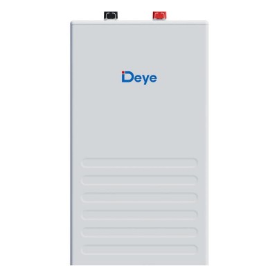 Зовнішня батарея для ДБЖ/інвертора Deye SE-F16-L